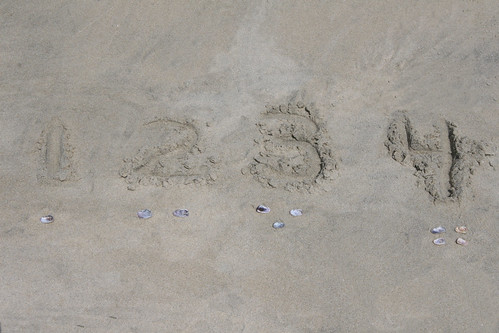 Numbers and Counters at the Beach