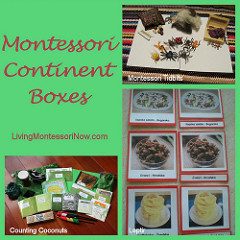 Montessori Continent Boxes