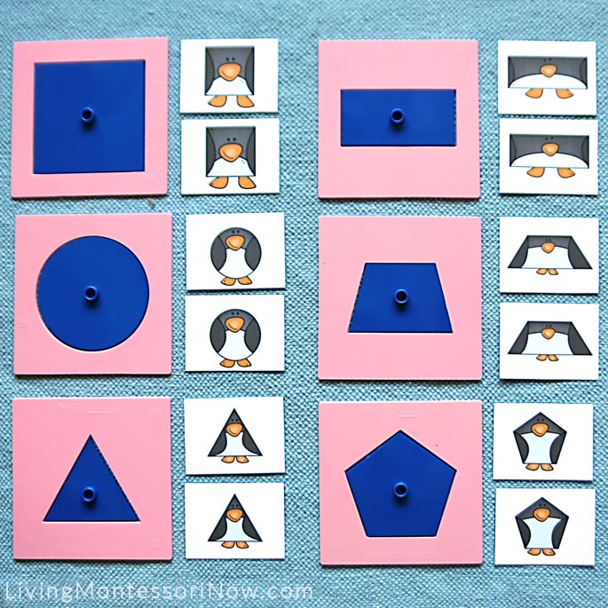 Penguin Shape Matching Layout